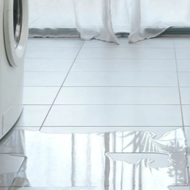 Appliance Leak Cleanup in New Palestine, IN