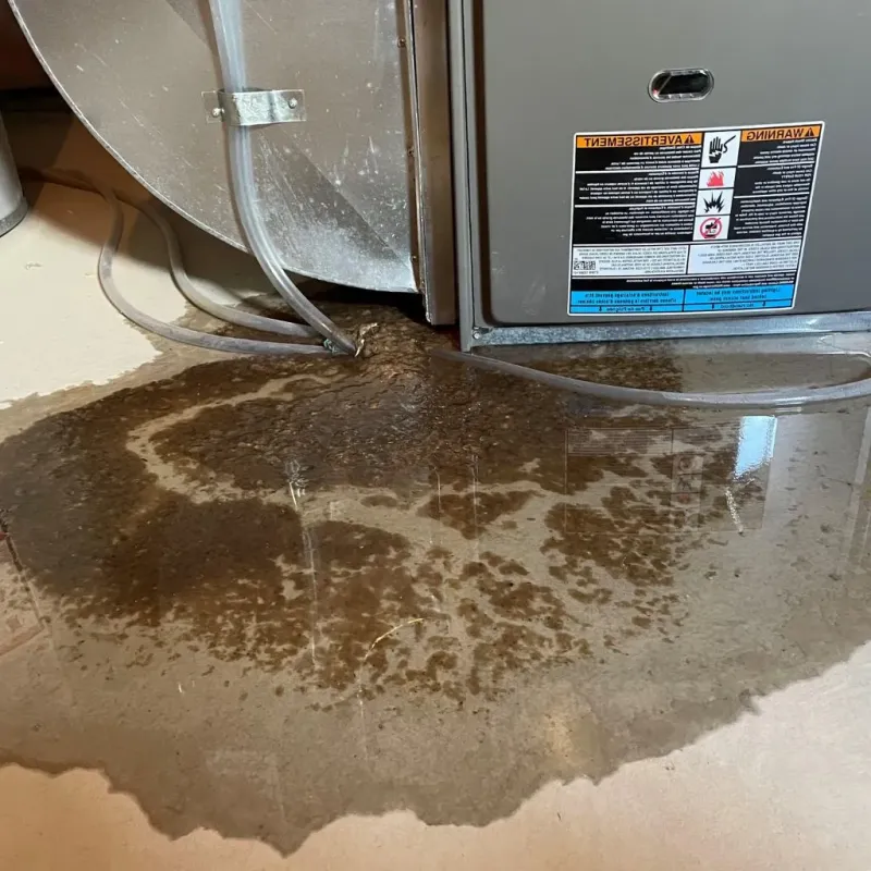 Pipe Burst and Leak Restoration in New Palestine, IN