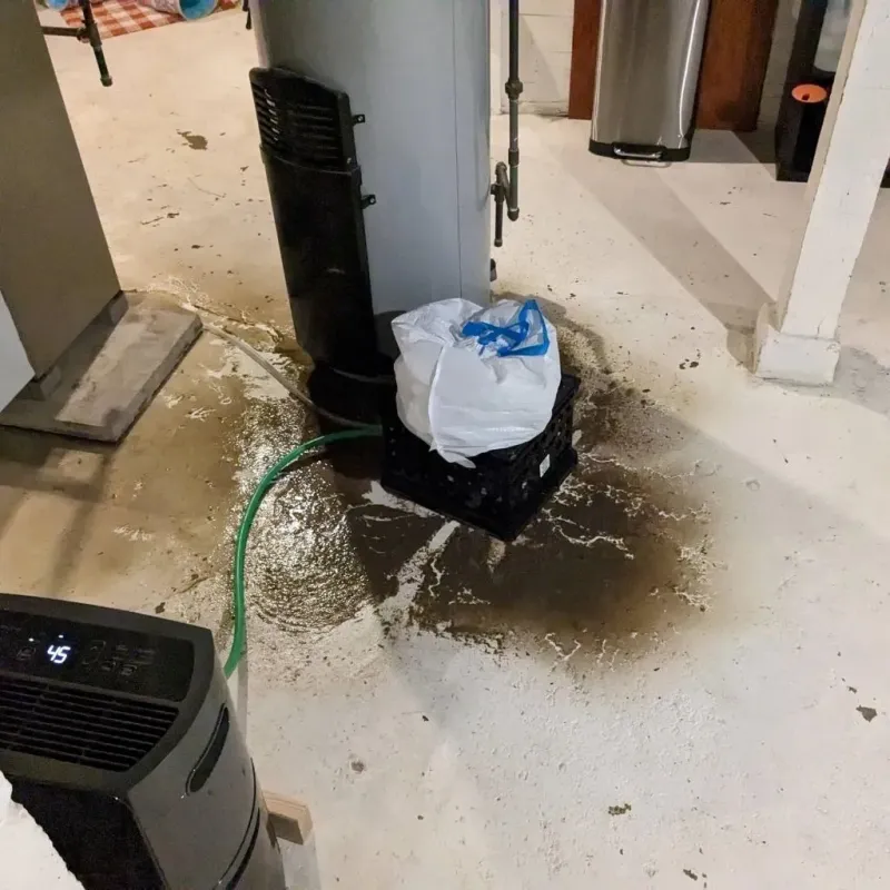 Sewage Backup Cleanup Service in New Palestine, IN